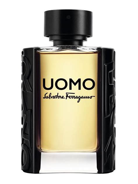 uomo salvatore ferragamo fragrantica